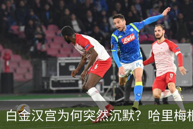 白金汉宫为何突然沉默？哈里梅根宣布回英国后，王室没有欢迎