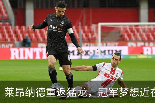 莱昂纳德重返猛龙，冠军梦想近在咫尺！